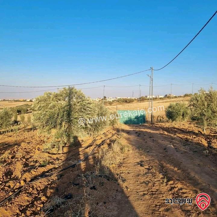 أرض زراعية مساحة 25 دونم للبيع في الكرك - فقوع