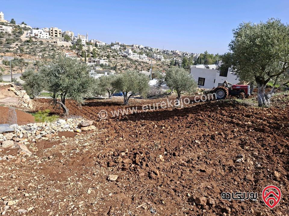 قطعة أرض مساحة 1 دونم للبيع في السلط - سوادة الشمالي