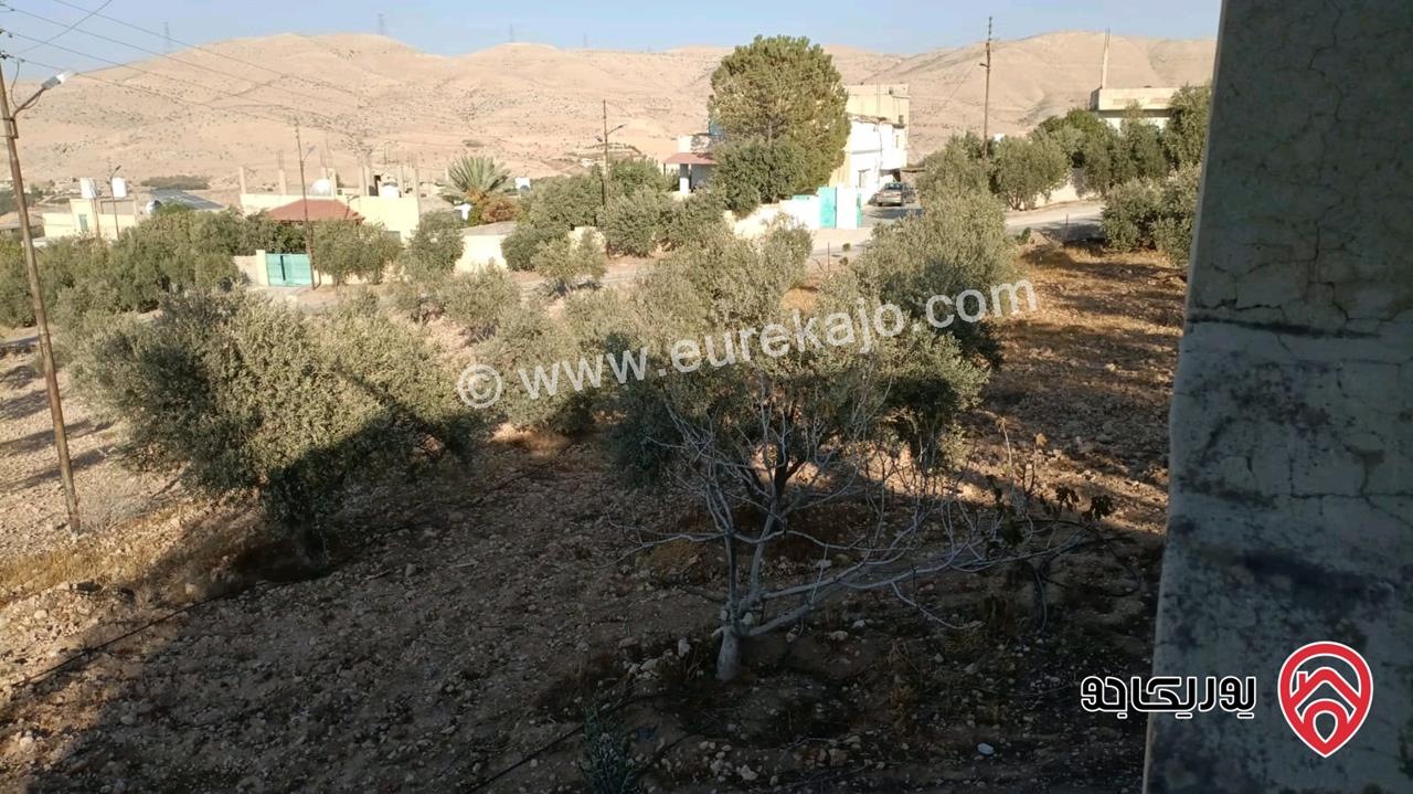 مزرعة مساحة الأرض 4 دونم و 214م والبناء 40م للبيع في الزرقاء - صروت 