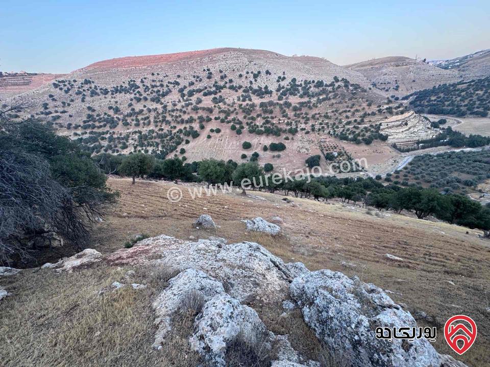 أرض مساحة 5 دونم و 300م للبيع في السلط - خلف عمان الاهلية