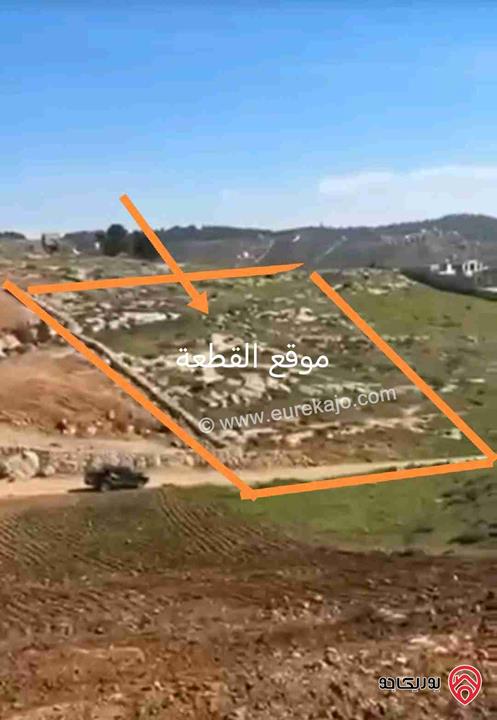 قطعة أرض زراعية مساحة 3 دونم و 400م للبيع في المفرق - نادرة