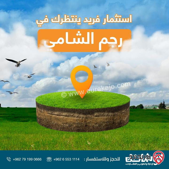 قطعة ارض مساحة 767م للبيع في عمان - رجم الشامي - طريق المطار شارع ال 100