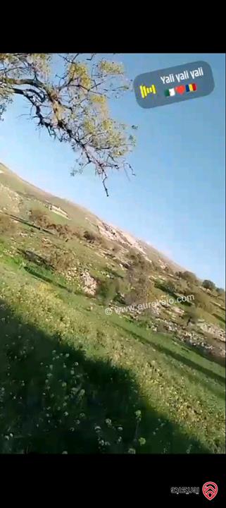 أرض مساحة 5 دونم و 760م للبيع في الزرقاء - صروت تبعد عن عمان 20 دقيقة