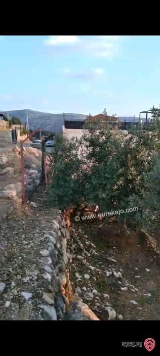 أرض مساحة 546م  للبيع في عمان - ناعور