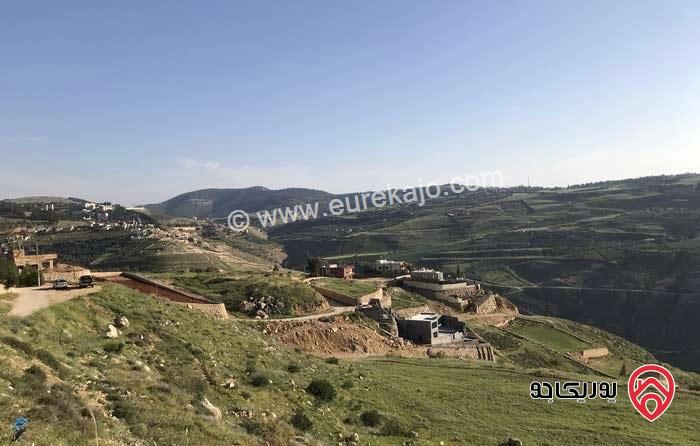 قطعة ارض تصلح لبناء شاليه مساحة 1 دونم و 483م للبيع في جرش