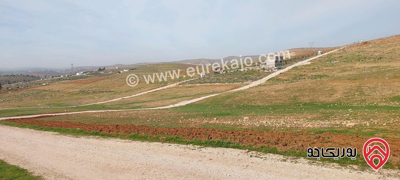 أرض زراعية مساحة 4018م للبيع في المفرق - منطقة بلعما 