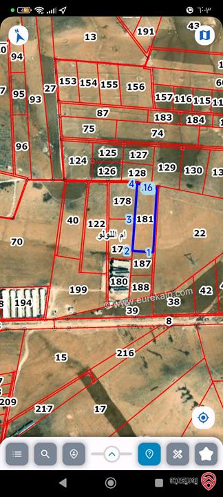 ارض مساحة 13 دونم و 500م للبيع في المفرق ام اللولو وبجانب خط التابلاين