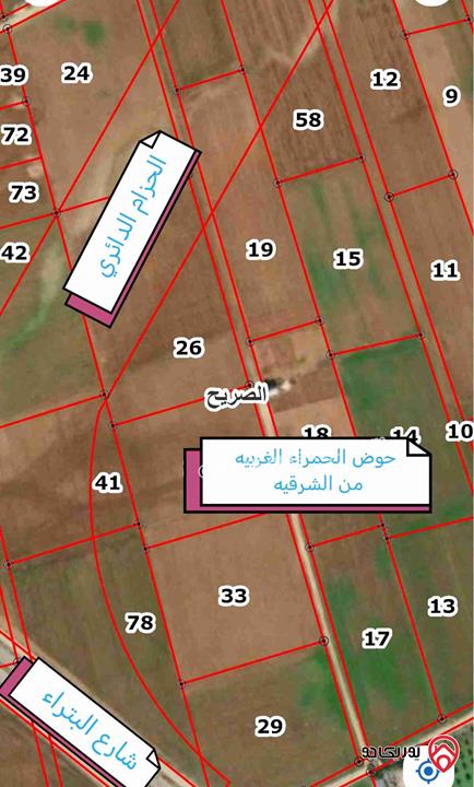 أرض مساحة 4 دونم للبيع في اربد - شارع البتراء أراضي الصريح الحمراء الغربية من الشرقية 