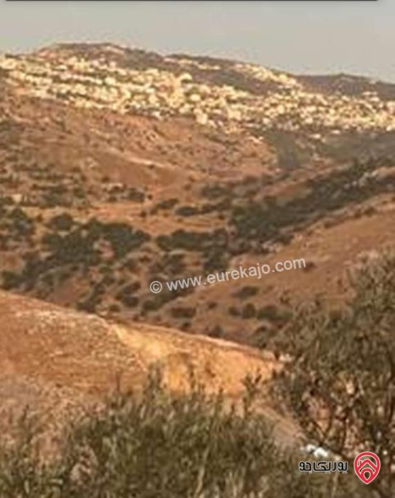 أرض مساحة 3 دونم و 427م للبيع في السلط