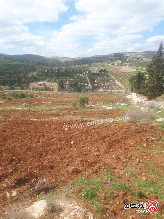 أرض مساحة 10 دونم و 494م للبيع في المفرق - دحل