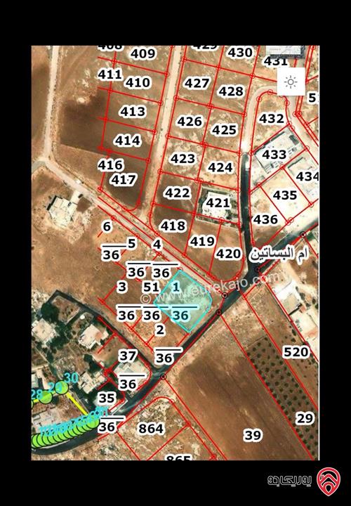 قطعة أرض مساحة 1 دونم و 444م للبيع في عمان - ام البساتين حوض القلايد 
