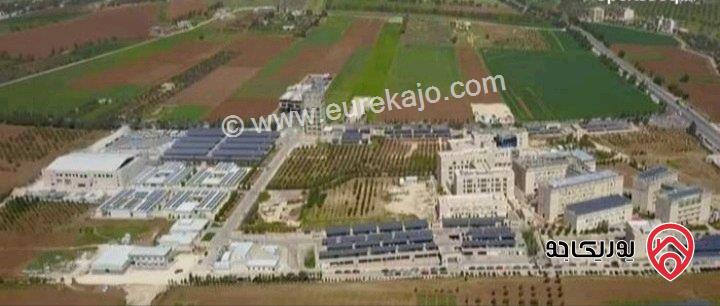 شقة ديلوكس مفروشة للايجار بالقرب من الجامعة الالمانية