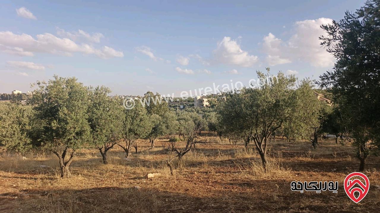 قطع اراضي سكنية مساحة 750م للبيع في عمان - ناعور من ضمن مشروع ابو الغزلان 3 