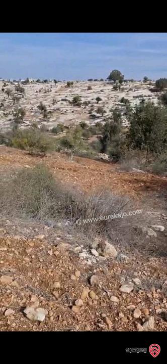 أرض مساحة 5 دونم و 603م للبيع في اربد - ملكا