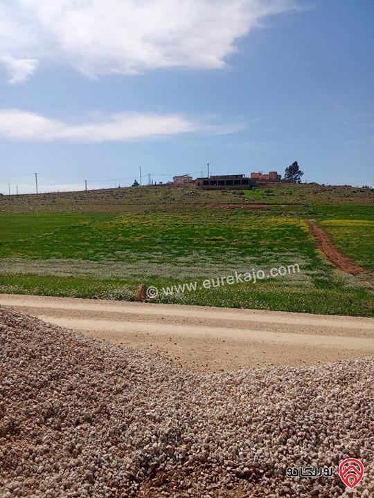 أرض مساحة 5 دونم و 500م للبيع في مادبا قرب الجامعة الامريكية