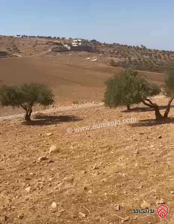 قطعة أرض مساحة 6 دونم و 721م للبيع في جرش - بليلا 