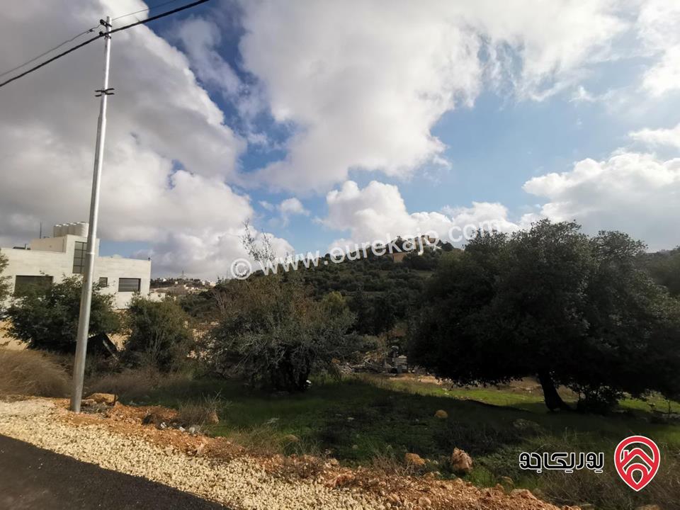 أرض سكنية مساحة 856م للبيع في عمان - بدر الجديدة  حوض الميسر