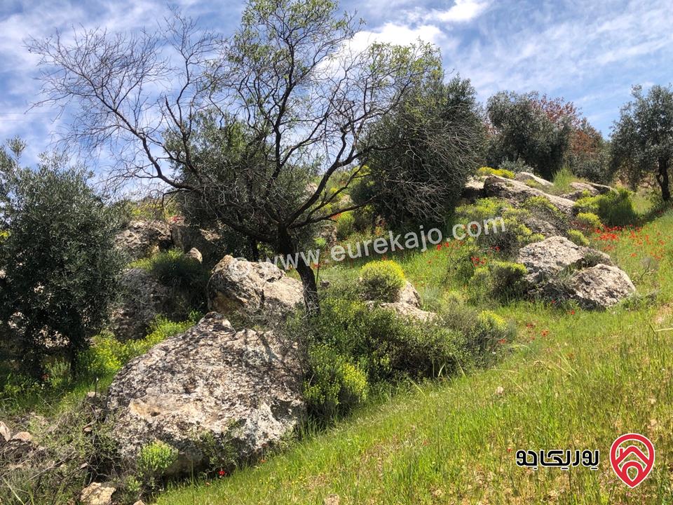 قطعة ارض مساحة 6 دونم و 500م للبيع كاملة او جزء منها في الزرقاء - الكمشة حوض البيرة 