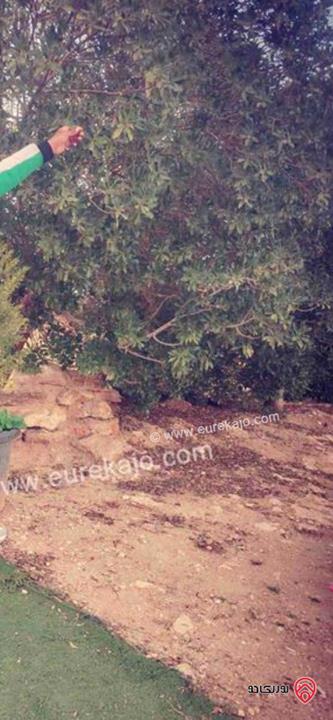 بيت مستقل على منطقة مرتفعة مساحة 100م على أرض750م للبيع في المفرق - الزنية