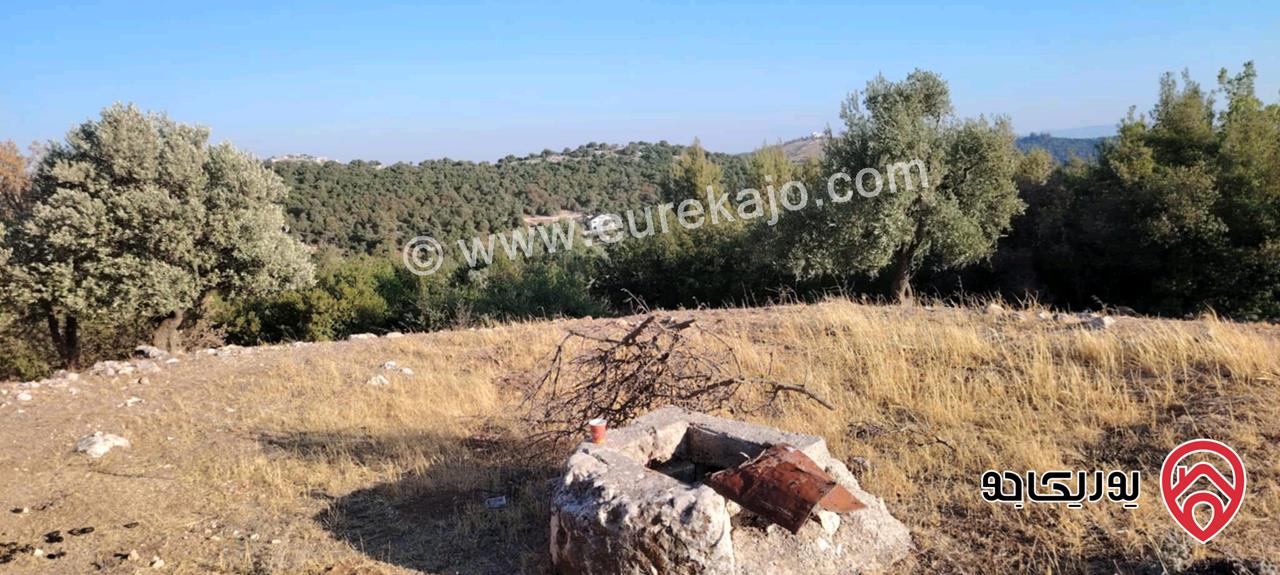 ارض مساحة 5 دونم و 891م للبيع في جرش الحسينيات