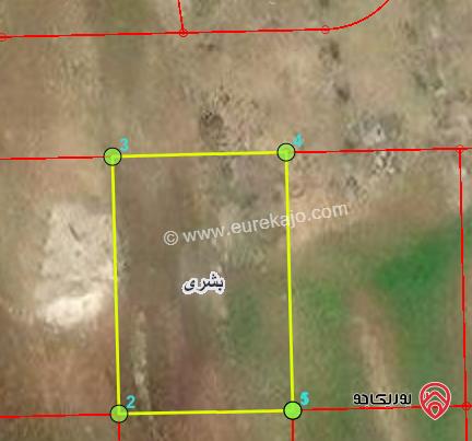 ارض 595م للبيع في اربد - من اراضي بشرى ضمن حوض الكرسنة الغربي