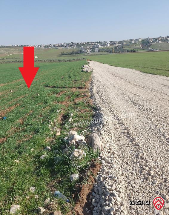 قطعة أرض مساحة 5300م زراعية مميزة واصل الخدمات للبيع في مادبا - ماعين غرابيات ام راسين 