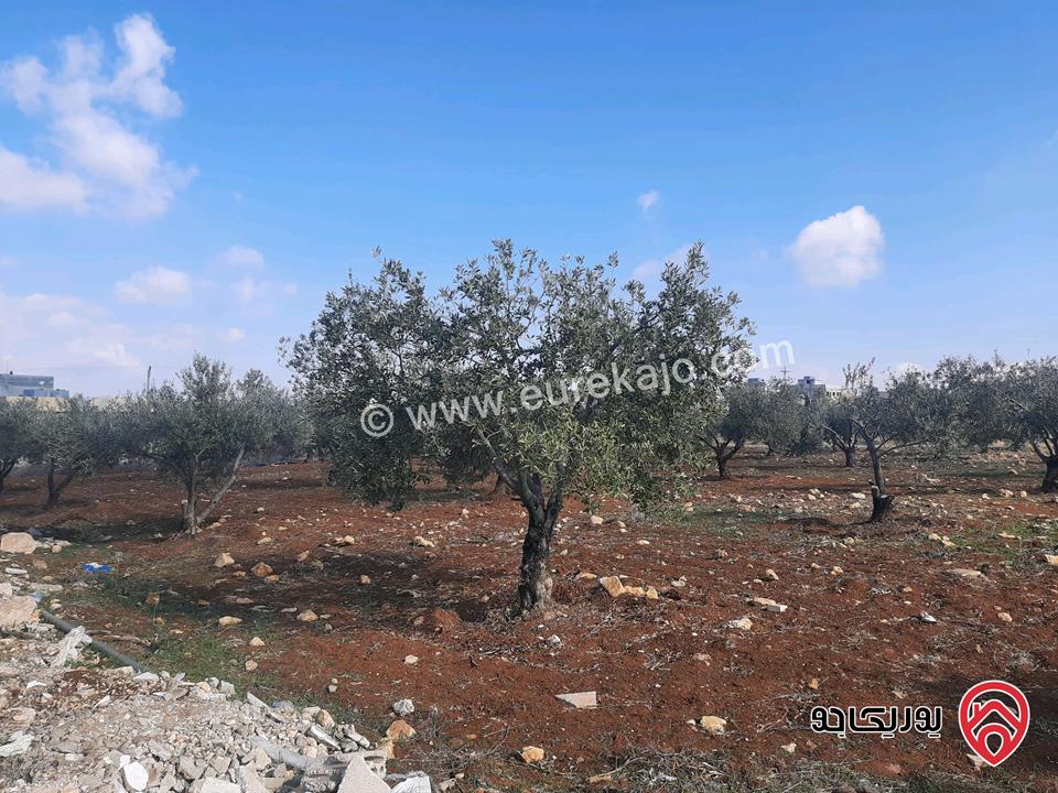 أرض مساحة 1 دونم و 74م للبيع في جرش سلحوب تبعد عن شارع الاردن تقريبا 2 كيلومتر، جميع الخدمات متوفرة ع شارع 12م