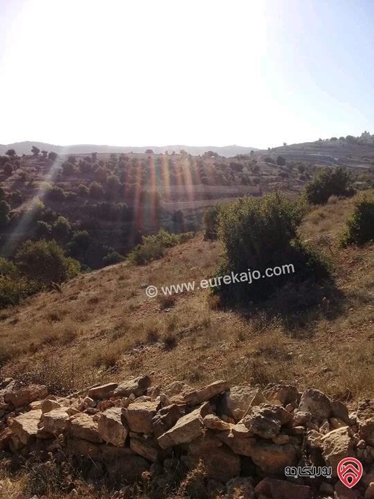 قطعة ارض مساحة 26 دونم للبيع في جرش - سوف