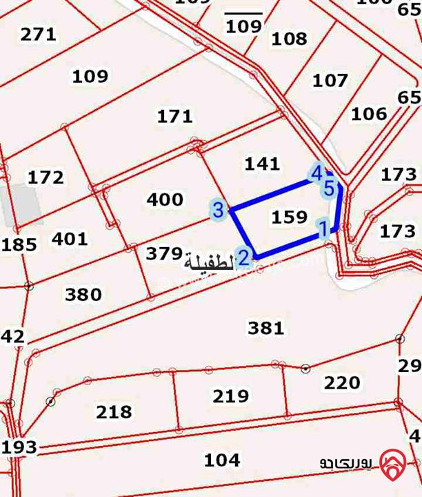 قطعة أرض مساحة 4010م للبيع في الطفيلة - العيص