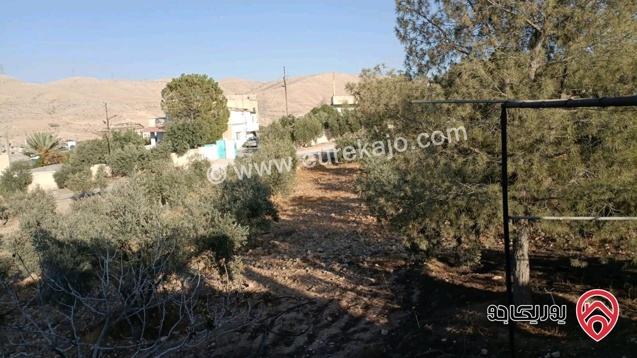 مزرعة مساحة الأرض 4 دونم و 214م والبناء 40م للبيع في الزرقاء - صروت 