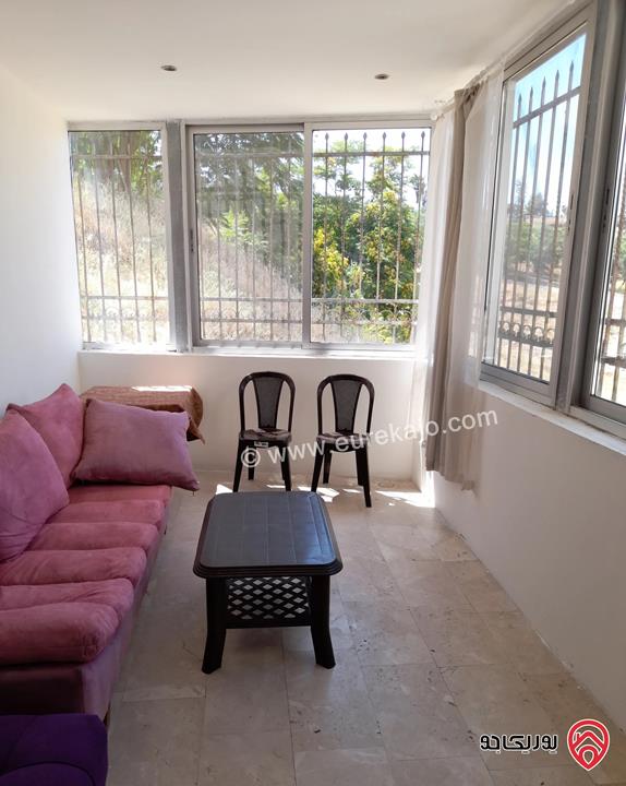 شقة مفروشة شبه أرضية مساحة 230م للايجار في عمان - عبدون