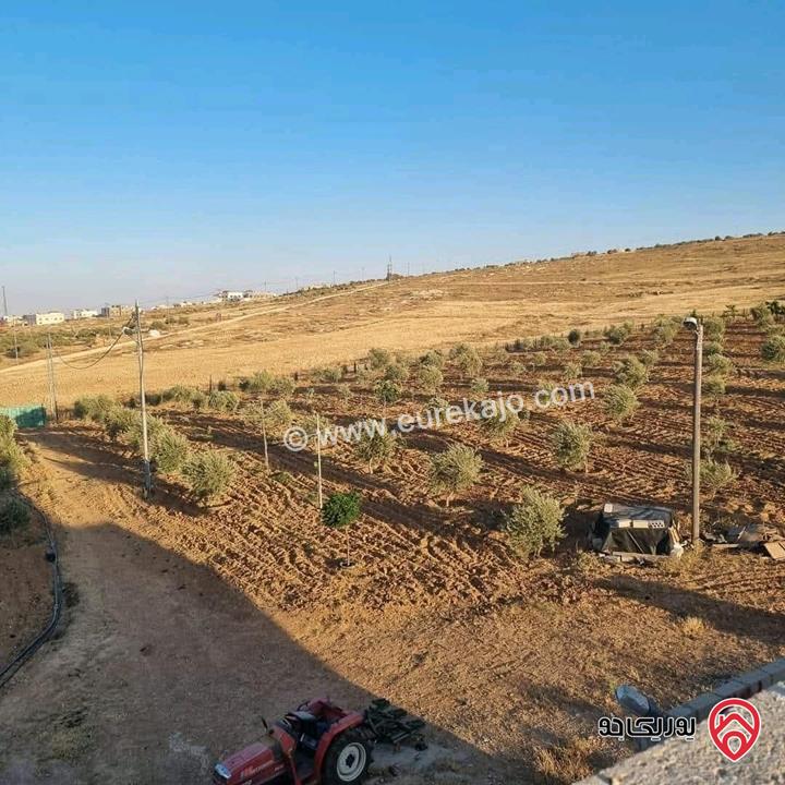 أرض زراعية مساحة 25 دونم للبيع في الكرك - فقوع