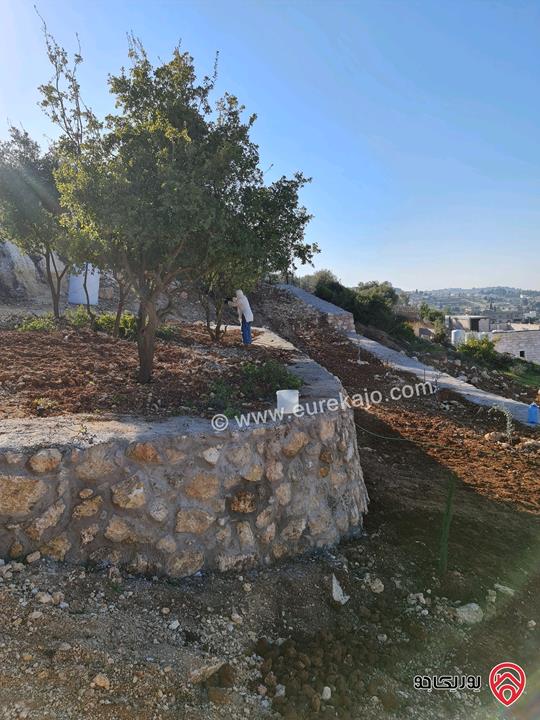 ارض مساحة 1 دونم للبيع في السلط - ام جوزة