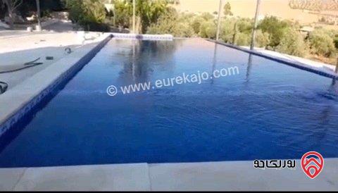 مزرعة مساحة الأرض 4 دونم و 60م للبيع في المفرق - بلعما مع أشجار زيتون مع أشجار زينة