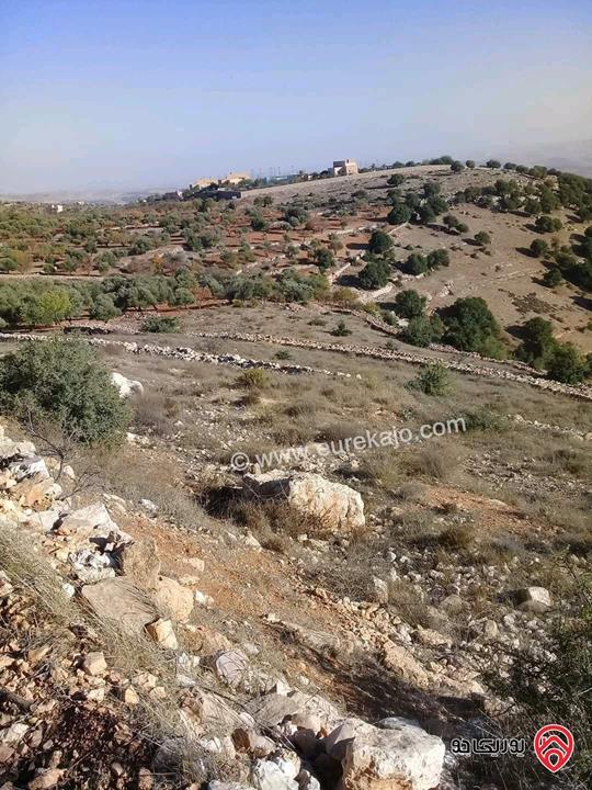 قطعة ارض مساحة 26 دونم للبيع في جرش - سوف