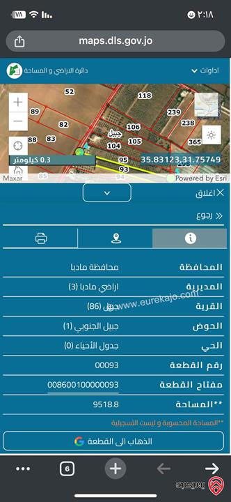 مزرعة مساحة 9518م عليها مساحة 200م مزروعة شجرللبيع في مادبا - خلف الكينغز اكاديمي منطقة جبيل