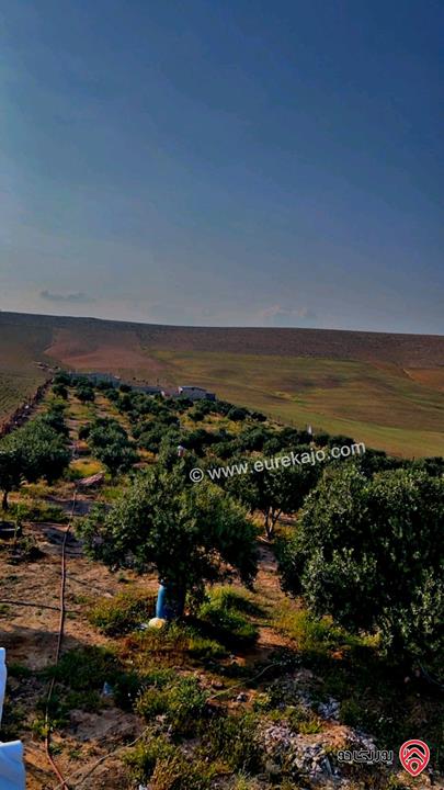 قطعة ارض 10 دونم للبيع من أراضي جنوب عمان - ارينبه الغربيه حوض 4 الجنوبي تبعد عن المطار 7 كم