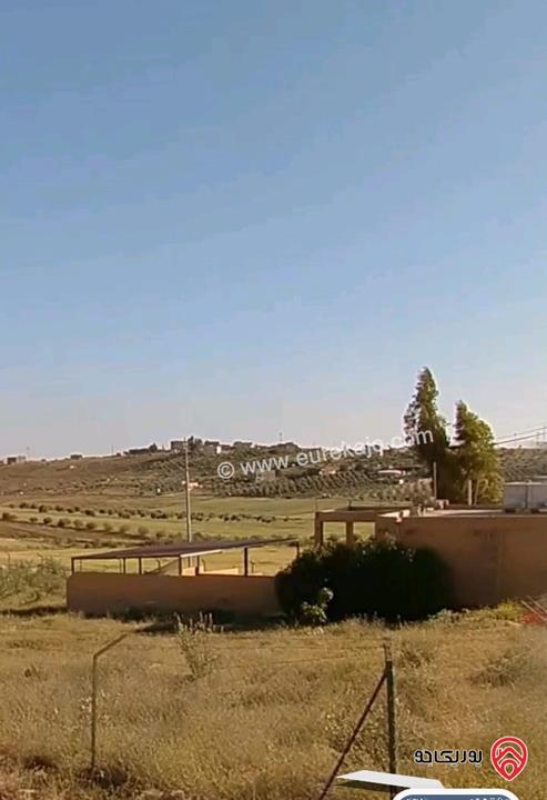 ارض 4 دونم للبيع في مادبا – تلاع الدليلة على بعد 2 كيلو متر من الجامعة الامريكية  