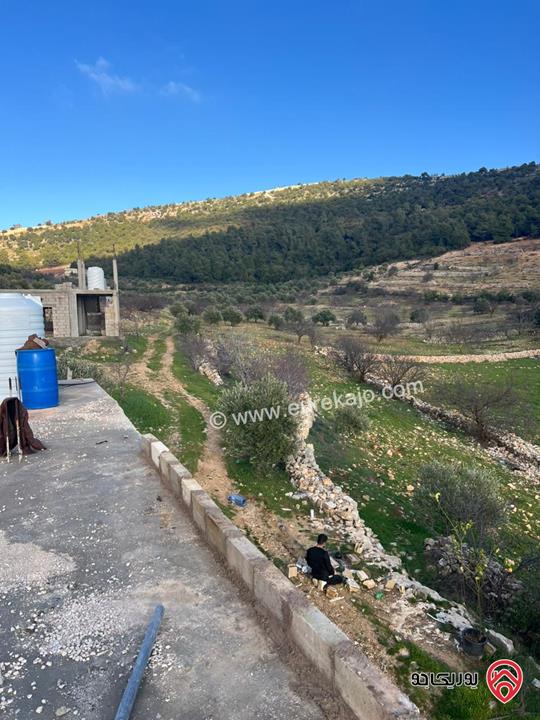 ارض مساحة 1 دونم و 982م للبيع في عجلون عنجرة سرابيس