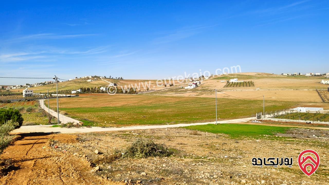 ارض مساحة 3 دونم و 750م للبيع في المفرق - بلعما