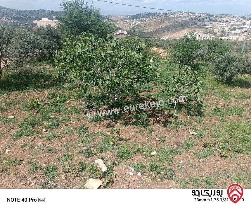 أرض مساحة 678م للبيع في اربد - حبكا أراضي المزار الشمالي ع الشارع 