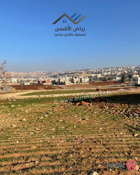 قطعة أرض مساحة 550م للبيع في عمان - عين الباشا