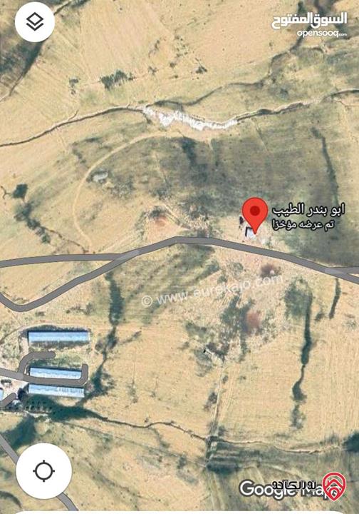 أرض مساحة 1 دونم للبيع في عمان - الموقر أراضي النقيرة