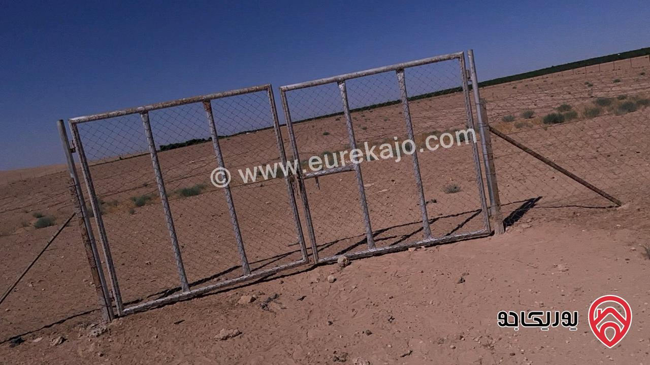 أرض مساحة 10 دونم للبيع من أراضي جنوب عمان - ام الرصاص 
