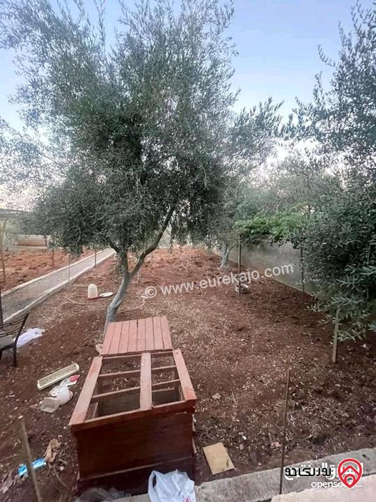 منزل مستقل مساحة الارض 1000 متر مربع ( دونم)، مساحة البناء 260 متر مربع للبيع في عمان - منطقة خريبة السوق، السوق المركزي 