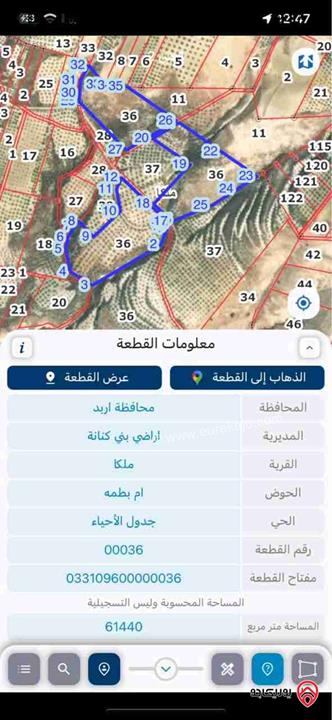 قطعة ارض مساحة 100 دونم مشجرة زيتون للبيع في اربد - ملكا