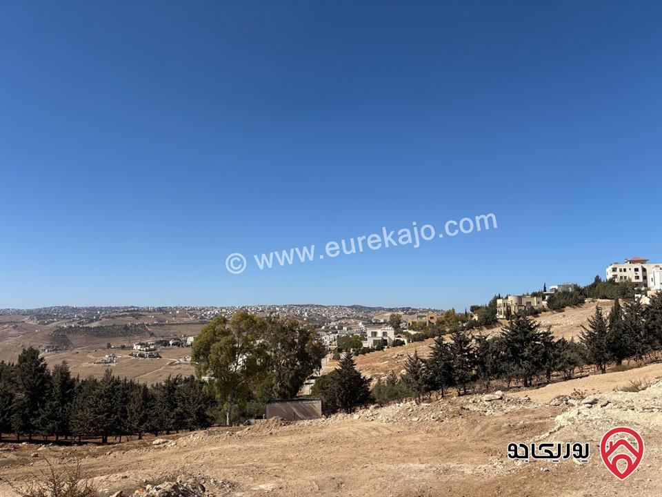 أراضي سكنية مكونة من 15 قطعة المساحات من 1000م - 1100م للبيع في السلط - السرو على اجمل تلال السرو بإطلالة رائعة على عمان والسلط