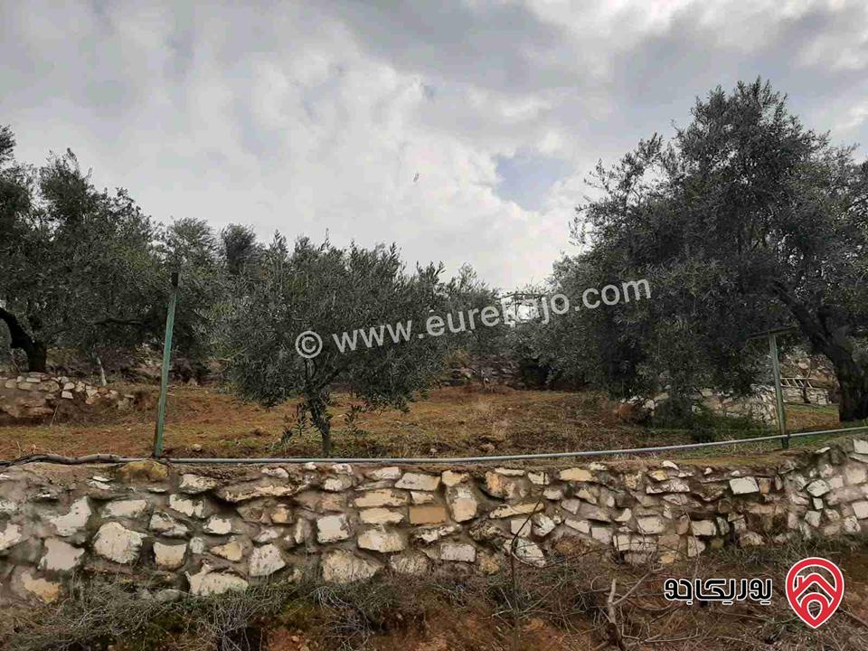مزرعة زيتون مساحة الأرض 8 دونم و 300م و البناء مساحة 100م للبيع في السلط