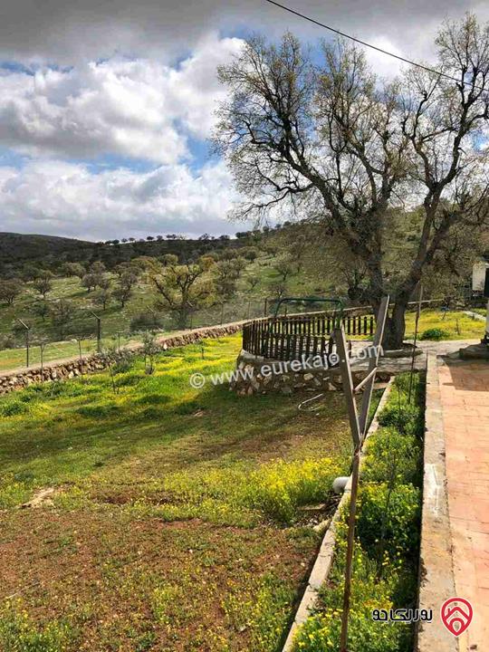 مزرعة مساحة دونم للبيع في الزرقاء - صروت 