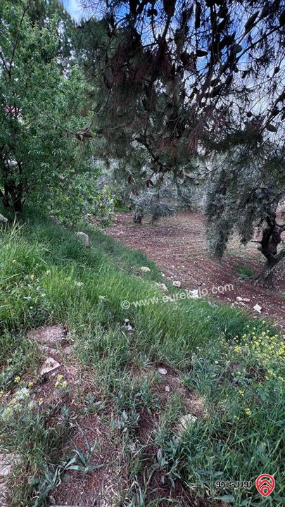 أرض مساحة 1 دونم و 129م للبيع في عمان - منطقة خلدا ، بالقرب من جمعية يافا للتنمية الاجتماعية